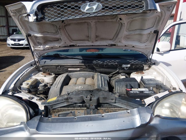 Продаж на аукціоні авто 2003 Hyundai Santa Fe Gls/lx, vin: KM8SC13DX3U564428, номер лоту: 46160363