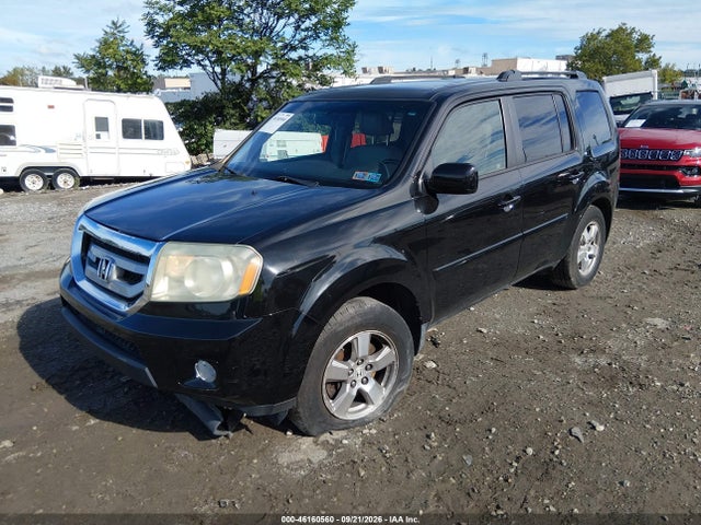 46160560 :رقم المزاد ، 5FNYF48539B030732 vin ، 2009 Honda Pilot Ex-l مزاد بيع