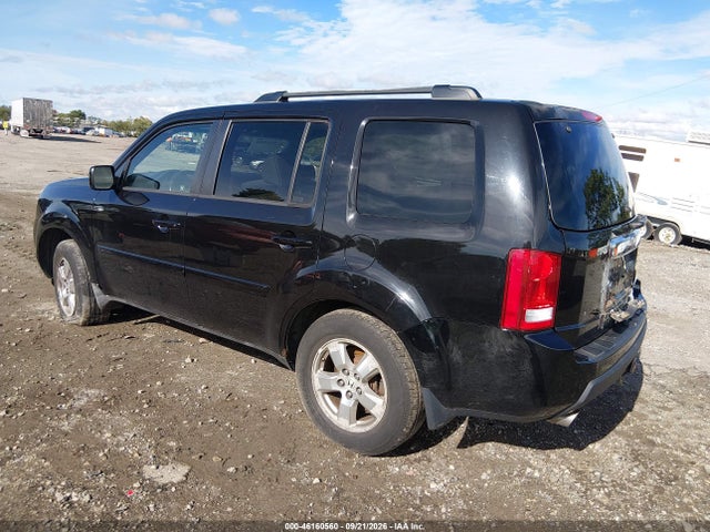 46160560 :رقم المزاد ، 5FNYF48539B030732 vin ، 2009 Honda Pilot Ex-l مزاد بيع