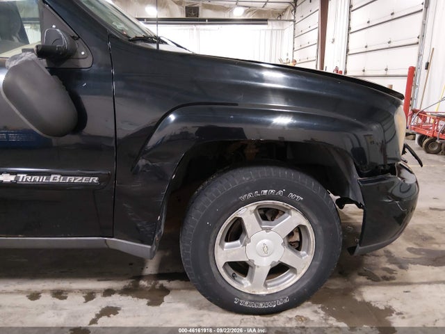 2004 Chevrolet Trailblazer Lt მანქანა იყიდება აუქციონზე, vin: 1GNDT13S642307802, აუქციონის ნომერი: 46161918