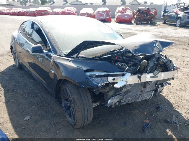 46162606 :رقم المزاد ، 5YJ3E1EA7KF305795 vin ، 2019 Tesla Model 3 Long Range/mid Range/standard Range/standard Range Plus مزاد بيع