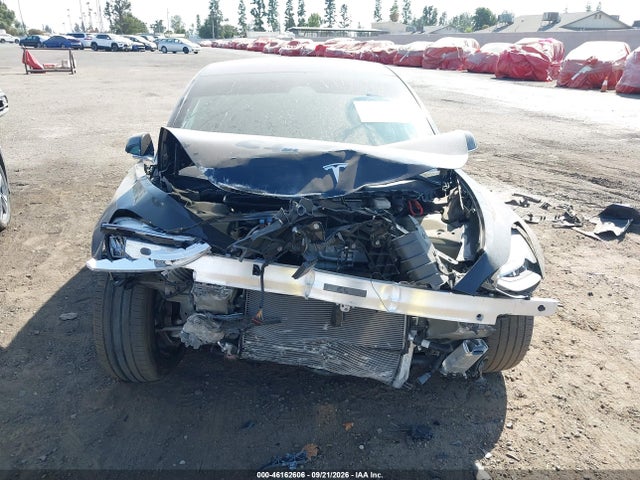 46162606 :رقم المزاد ، 5YJ3E1EA7KF305795 vin ، 2019 Tesla Model 3 Long Range/mid Range/standard Range/standard Range Plus مزاد بيع