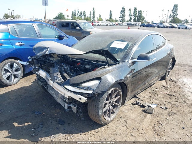 46162606 :رقم المزاد ، 5YJ3E1EA7KF305795 vin ، 2019 Tesla Model 3 Long Range/mid Range/standard Range/standard Range Plus مزاد بيع
