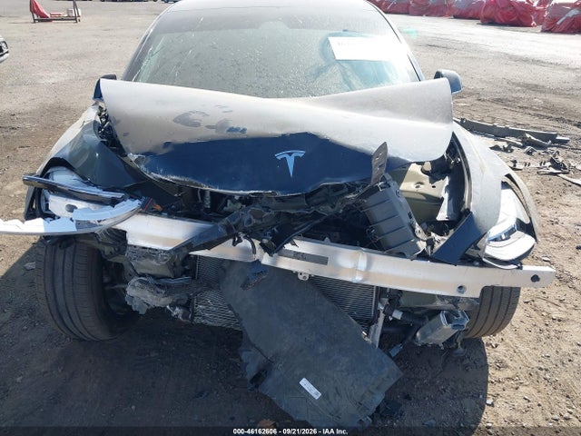 46162606 :رقم المزاد ، 5YJ3E1EA7KF305795 vin ، 2019 Tesla Model 3 Long Range/mid Range/standard Range/standard Range Plus مزاد بيع