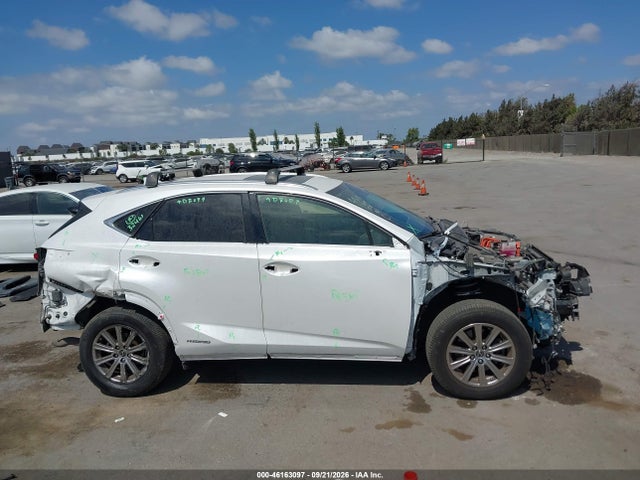 Продаж на аукціоні авто 2020 Lexus Nx 300h, vin: JTJDJRDZ4L5004424, номер лоту: 46163097