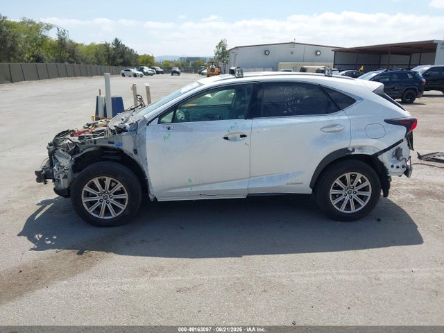 Продаж на аукціоні авто 2020 Lexus Nx 300h, vin: JTJDJRDZ4L5004424, номер лоту: 46163097