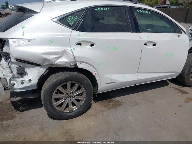 Продаж на аукціоні авто 2020 Lexus Nx 300h, vin: JTJDJRDZ4L5004424, номер лоту: 46163097
