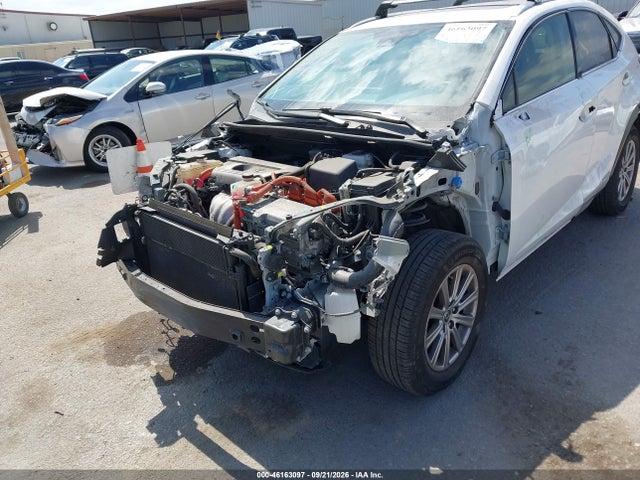 Продаж на аукціоні авто 2020 Lexus Nx 300h, vin: JTJDJRDZ4L5004424, номер лоту: 46163097