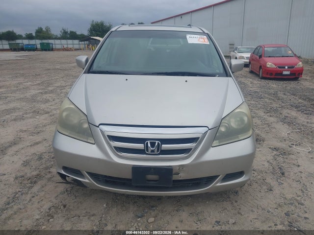 46163302 :رقم المزاد ، 5FNRL38787B438665 vin ، 2007 Honda Odyssey Ex-l مزاد بيع