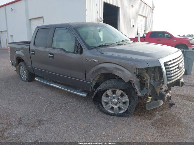 46165636 :رقم المزاد ، 1FTEW1CM7BKD10355 vin ، 2011 Ford F-150 Xlt مزاد بيع