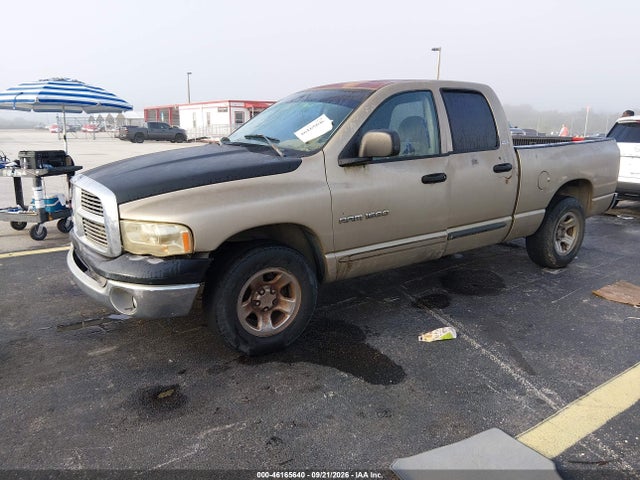 2002 Dodge Ram 1500 St მანქანა იყიდება აუქციონზე, vin: 1D7HA18NX2S704919, აუქციონის ნომერი: 46165640