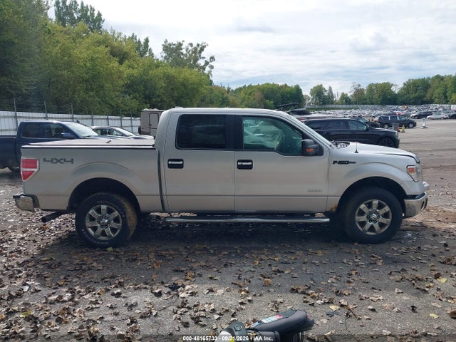 46165733 :رقم المزاد ، 1FTFW1ET8EFC91711 vin ، 2014 Ford F-150 Xlt مزاد بيع