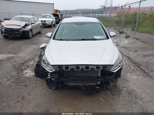 46165894 :رقم المزاد ، 5NPE24AF9KH738363 vin ، 2019 Hyundai Sonata Se مزاد بيع