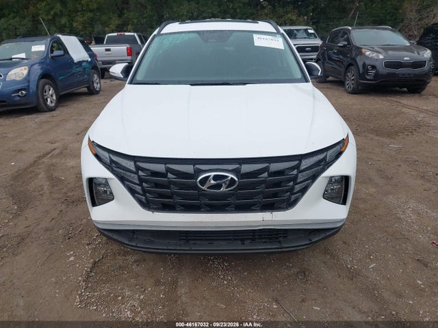 46167032 :رقم المزاد ، 5NMJFCDE5RH353390 vin ، 2024 Hyundai Tucson Sel مزاد بيع
