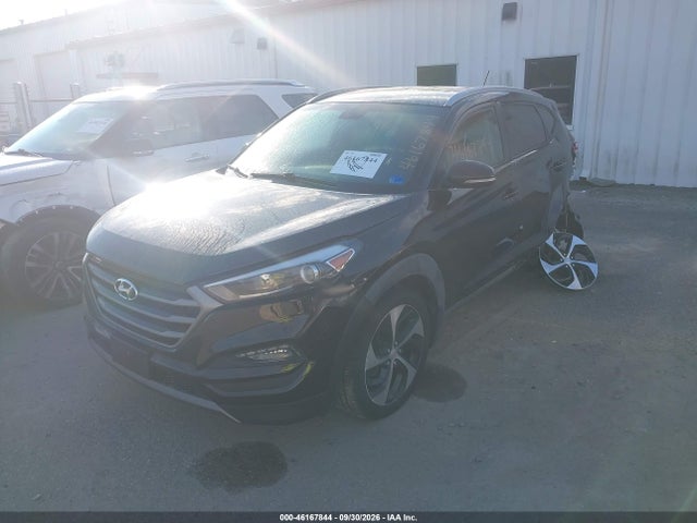 Продаж на аукціоні авто 2016 Hyundai Tucson Sport, vin: KM8J33A28GU062113, номер лоту: 46167844