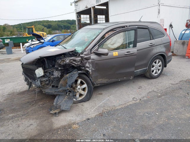 Продаж на аукціоні авто 2009 Honda Cr-v Ex-l, vin: 5J6RE48789L010119, номер лоту: 46170058