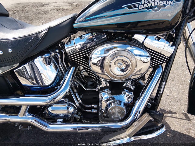 Aukcja sprzedaży 2010 Harley-davidson Flstf, vin: 1HD1BX514AB044189, numer aukcji: 46170613