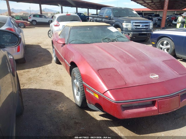 46170822 :رقم المزاد ، 1G1YY3189K5111369 vin ، 1989 Chevrolet Corvette مزاد بيع