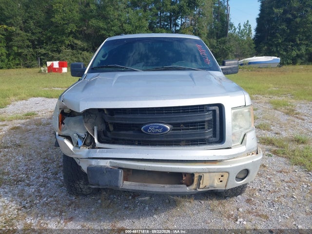 Продаж на аукціоні авто 2013 Ford F-150 Stx, vin: 1FTFX1EF3DFB41799, номер лоту: 46171818