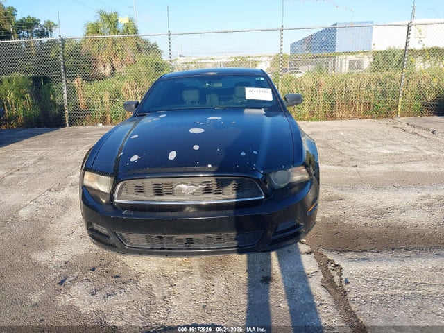 46172929 :رقم المزاد ، 1ZVBP8AM0D5256438 vin ، 2013 Ford Mustang V6 مزاد بيع