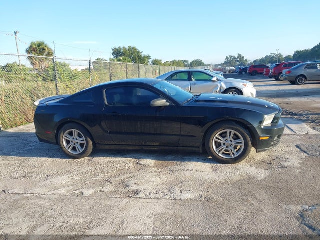 46172929 :رقم المزاد ، 1ZVBP8AM0D5256438 vin ، 2013 Ford Mustang V6 مزاد بيع
