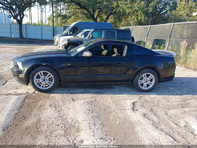 46172929 :رقم المزاد ، 1ZVBP8AM0D5256438 vin ، 2013 Ford Mustang V6 مزاد بيع