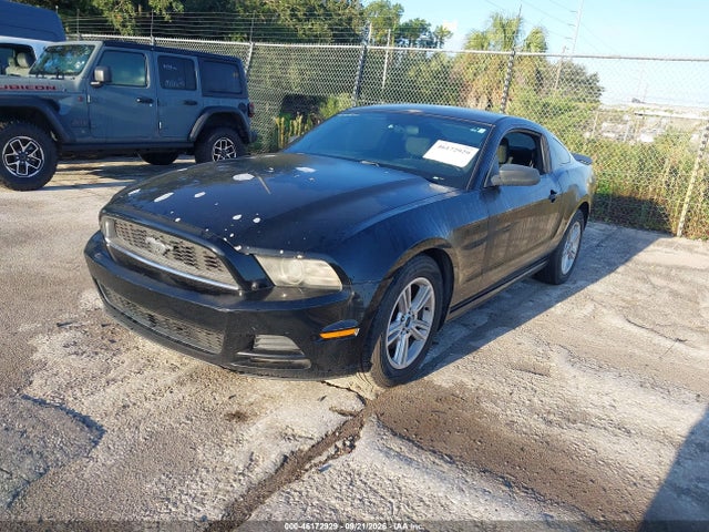 46172929 :رقم المزاد ، 1ZVBP8AM0D5256438 vin ، 2013 Ford Mustang V6 مزاد بيع