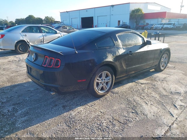 46172929 :رقم المزاد ، 1ZVBP8AM0D5256438 vin ، 2013 Ford Mustang V6 مزاد بيع