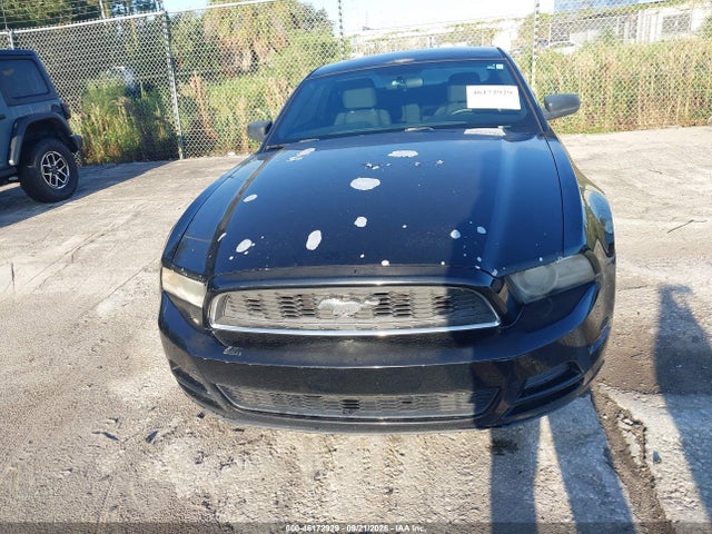 46172929 :رقم المزاد ، 1ZVBP8AM0D5256438 vin ، 2013 Ford Mustang V6 مزاد بيع