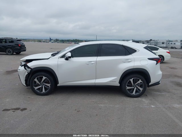 Продаж на аукціоні авто 2020 Lexus Nx 300h Luxury, vin: JTJHJRDZ8L5006842, номер лоту: 46175369