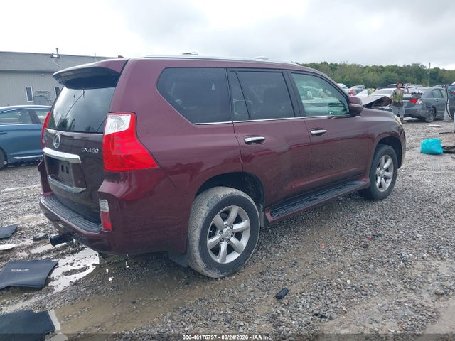 Продаж на аукціоні авто 2010 Lexus Gx 460, vin: JTJBM7FX4A5010414, номер лоту: 46176797