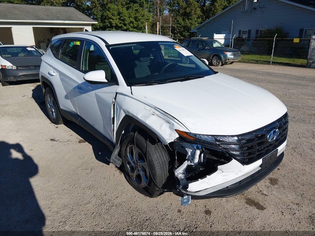 Auction sale of the 2023 Hyundai Tucson Se, vin: 5NMJACAE5PH248221, lot number: 46176874