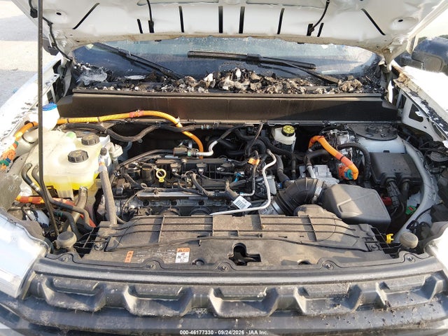 46177330 :رقم المزاد ، 3FTTW8A31RRA78481 vin ، 2024 Ford Maverick Xl مزاد بيع