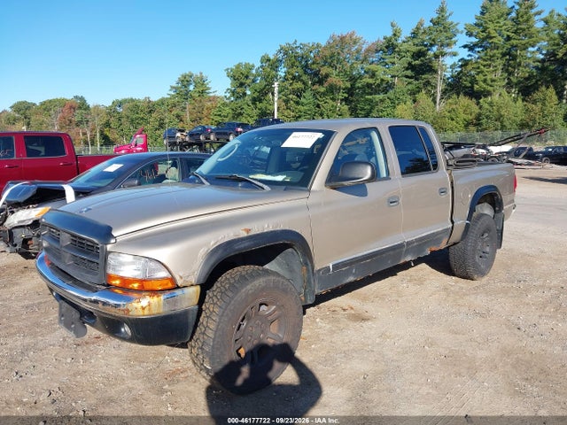 2004 Dodge Dakota Slt მანქანა იყიდება აუქციონზე, vin: 1D7HG48K64S596419, აუქციონის ნომერი: 46177722