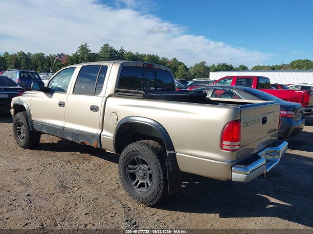 2004 Dodge Dakota Slt მანქანა იყიდება აუქციონზე, vin: 1D7HG48K64S596419, აუქციონის ნომერი: 46177722