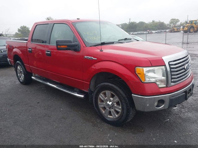 Auction sale of the 2010 Ford F-150 Fx4/harley-davidson/king Ranch/lariat/platinum/xl/xlt, vin: 1FTFW1EV4AFD00304, lot number: 46179064