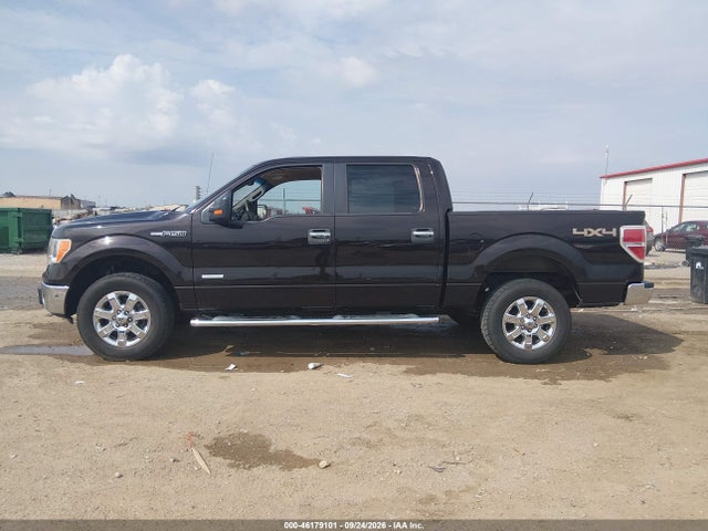 Ford F-150 Xlt 2014 1FTFW1ET6EKE90733 Image 14
