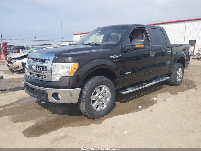 Ford F-150 Xlt 2014 1FTFW1ET6EKE90733 Image 2