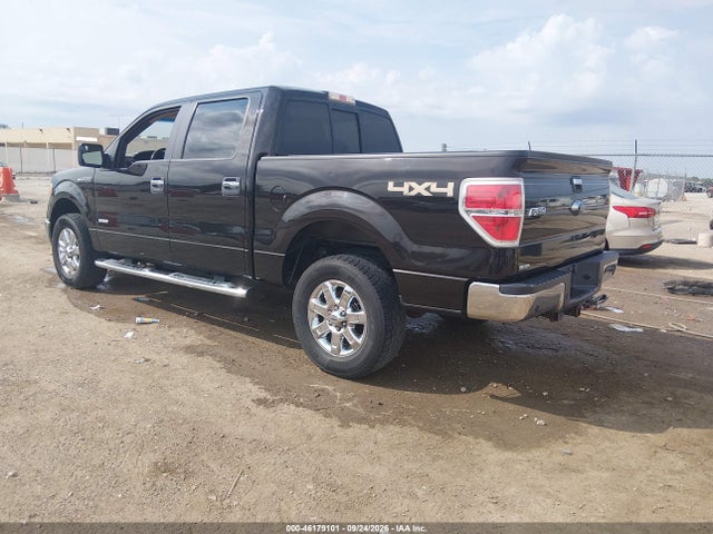 Ford F-150 Xlt 2014 1FTFW1ET6EKE90733 Image 3