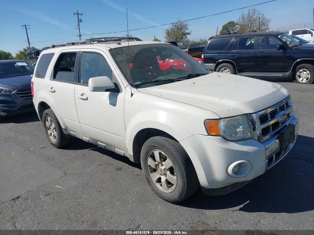 Продаж на аукціоні авто 2010 Ford Escape Limited, vin: 1FMCU0E7XAKA71974, номер лоту: 46181576