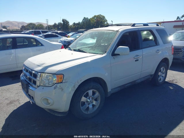 Продаж на аукціоні авто 2010 Ford Escape Limited, vin: 1FMCU0E7XAKA71974, номер лоту: 46181576