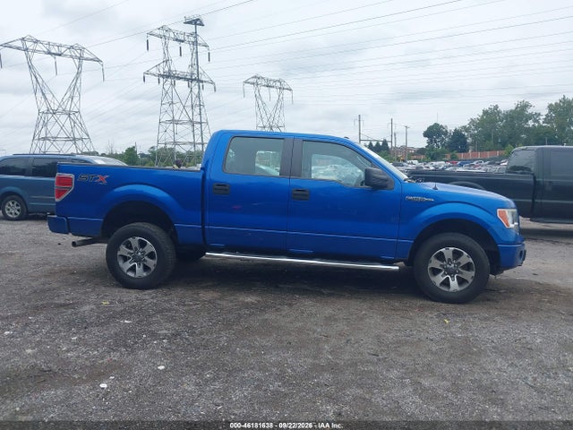 Aukcja sprzedaży 2014 Ford F-150 Stx, vin: 1FTFW1EF8EFA54145, numer aukcji: 46181638