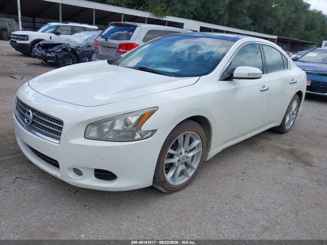 46181817 :رقم المزاد ، 1N4AA5AP4AC830755 vin ، 2010 Nissan Maxima 3.5 Sv مزاد بيع