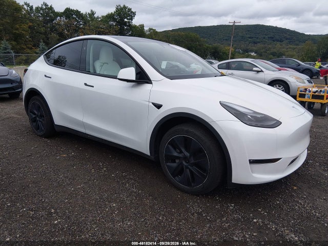 Продаж на аукціоні авто 2025 Tesla Model Y Long Range Dual Motor All-wheel Drive, vin: 7SAYGDEE7SF241751, номер лоту: 46182414