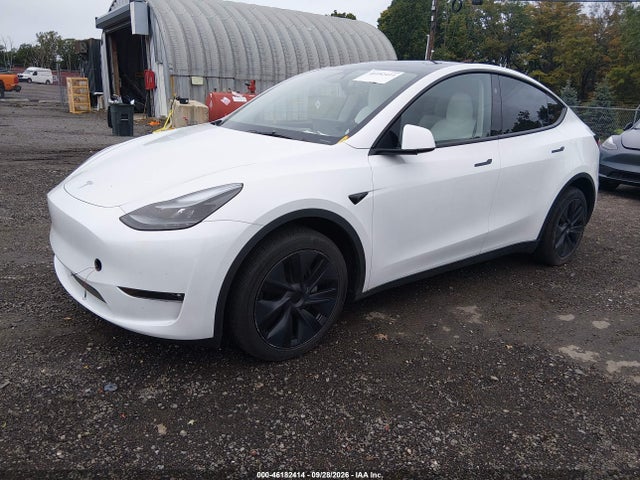 Aukcja sprzedaży 2025 Tesla Model Y Long Range Dual Motor All-wheel Drive, vin: 7SAYGDEE7SF241751, numer aukcji: 46182414