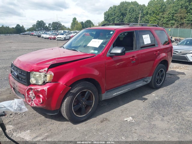 Продаж на аукціоні авто 2009 Ford Escape Xlt, vin: 1FMCU93G49KC11861, номер лоту: 46182787