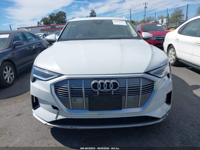 Продаж на аукціоні авто 2019 Audi E-tron Premium Plus, vin: WA1LAAGE6KB010485, номер лоту: 46182933