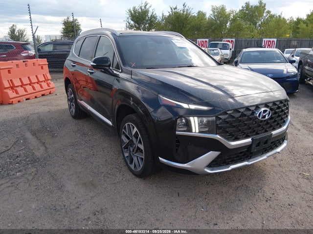 Продажа на аукционе авто 2021 Hyundai Santa Fe Calligraphy, vin: 5NMS5DAL6MH329866, номер лота: 46183314