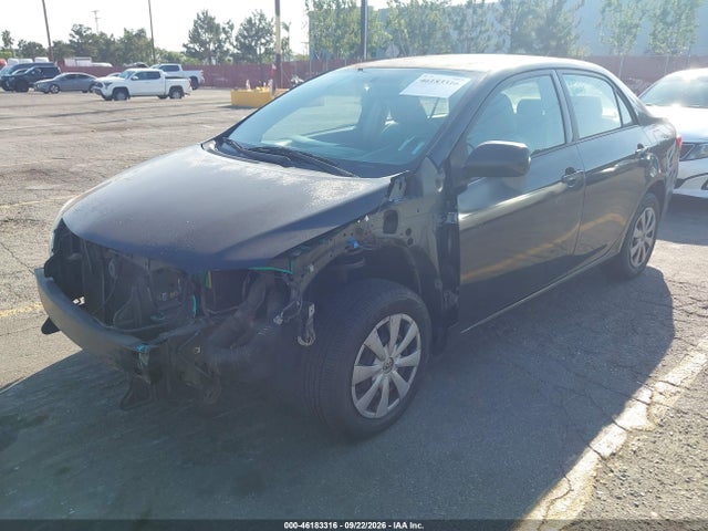 2010 Toyota Corolla Le მანქანა იყიდება აუქციონზე, vin: JTDBU4EE7AJ064962, აუქციონის ნომერი: 46183316