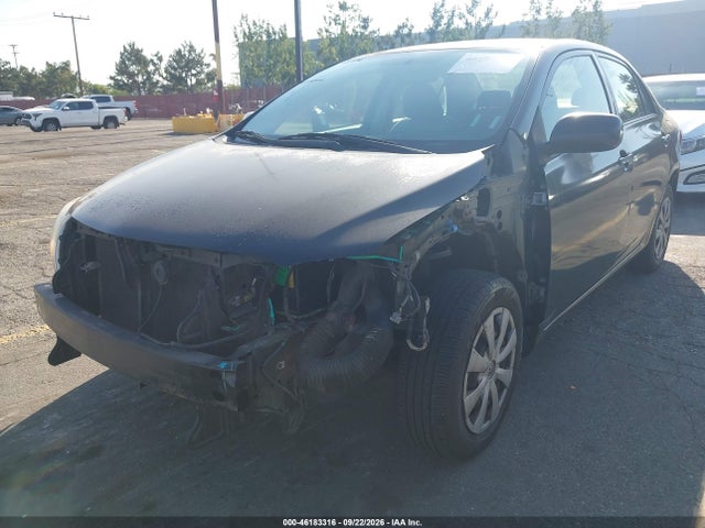 2010 Toyota Corolla Le მანქანა იყიდება აუქციონზე, vin: JTDBU4EE7AJ064962, აუქციონის ნომერი: 46183316